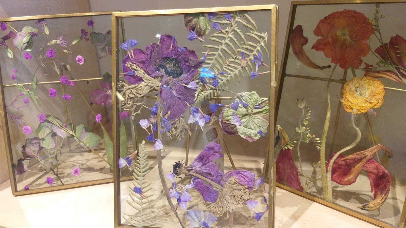 Cadres en verre garnis de fleurs séchées
