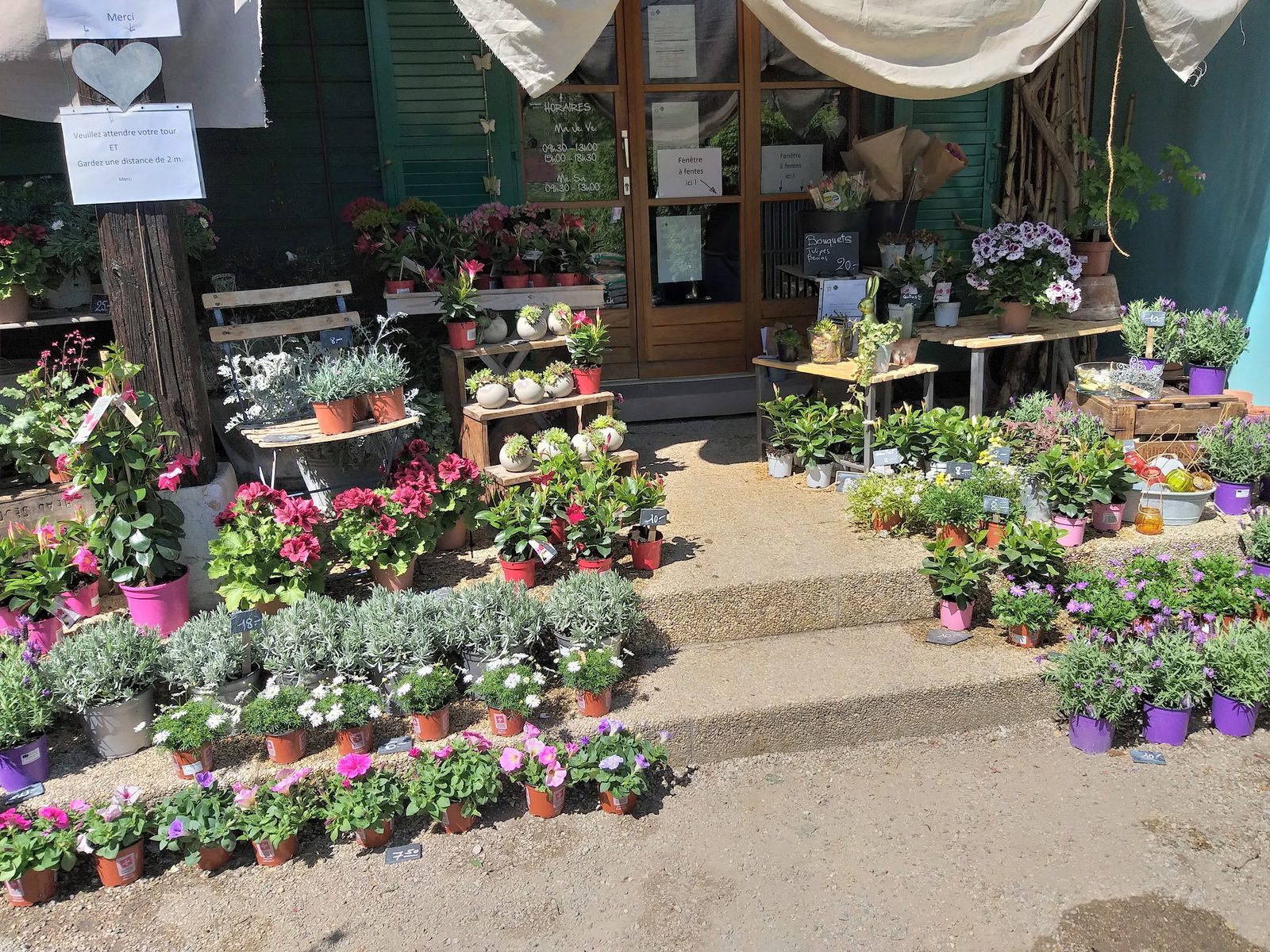 L’entrée de la boutique, plantes fleuries et lavandes sur les marches