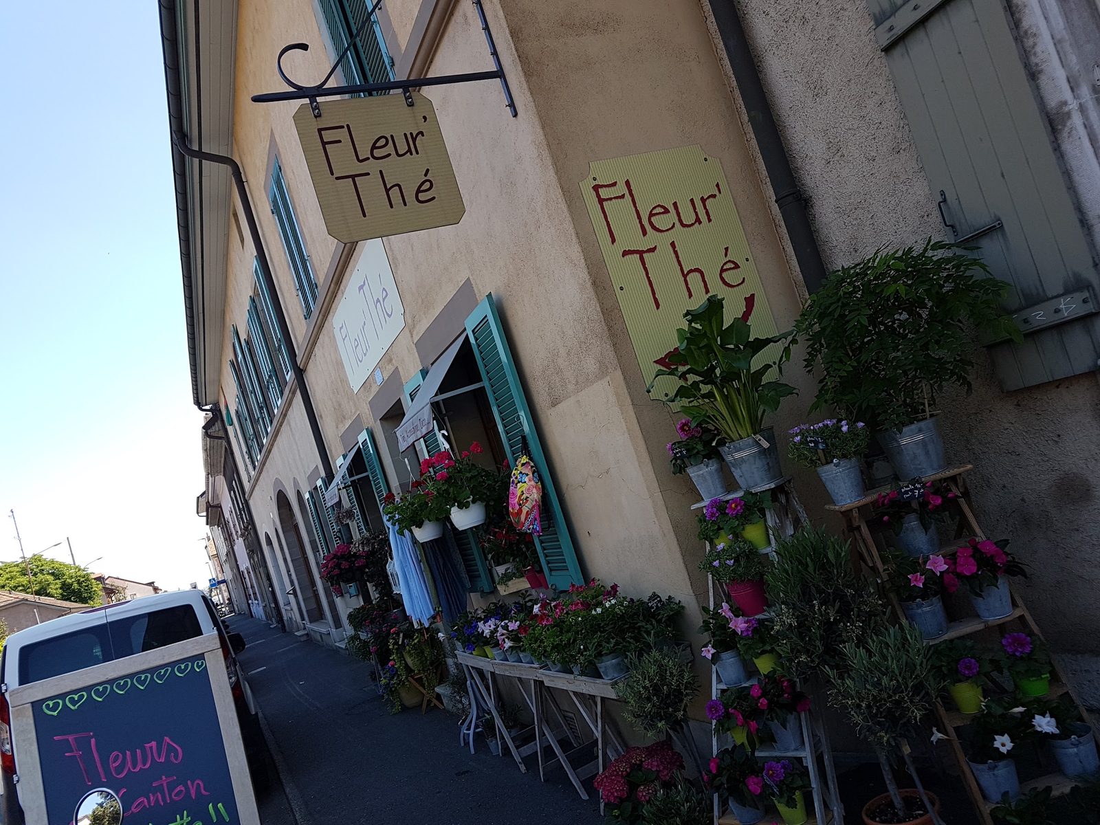 La façade sur la route de Saint-Julien, enseignes Fleur'Thé et plantes fleuries sur les étagères
