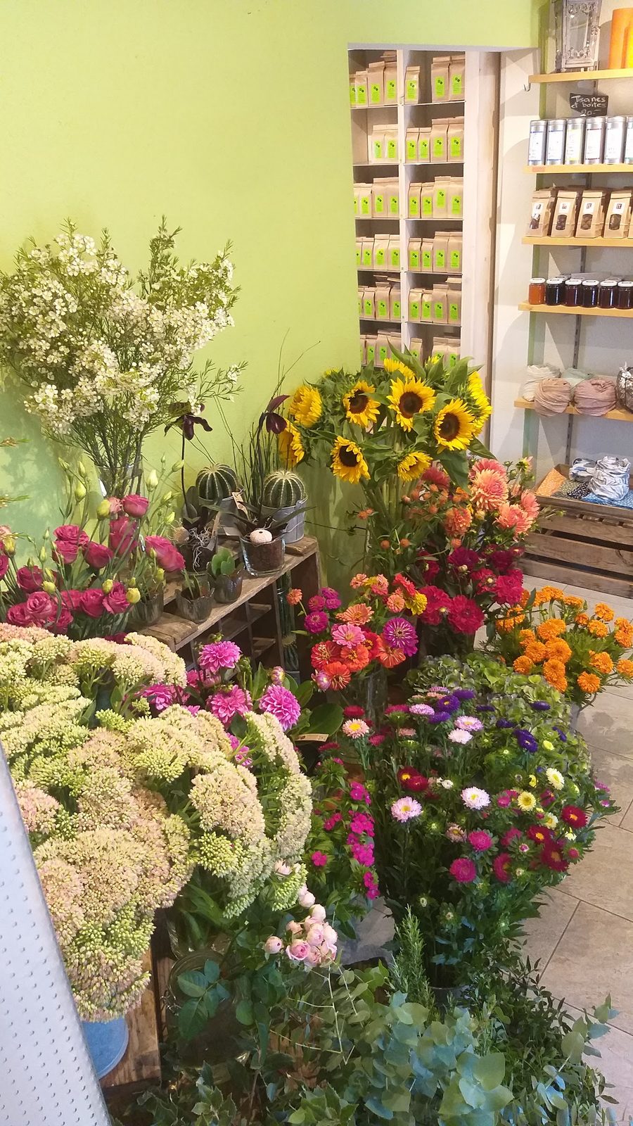 L’intérieur de la boutique, fleurs et plantes devant le mur des thés